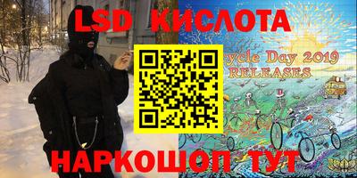 индика Боровичи