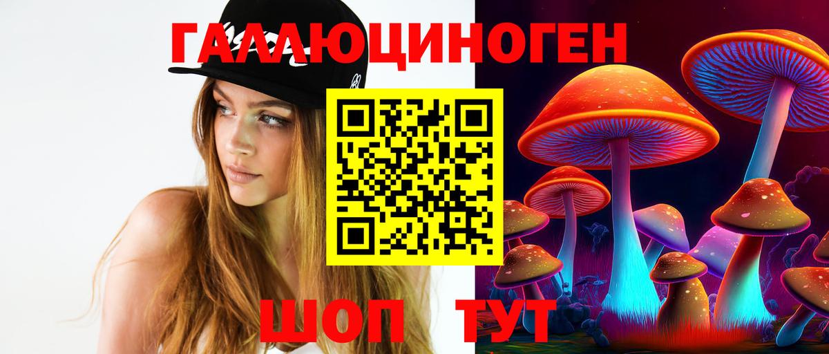 Псилоцибиновые грибы Psilocybe Керчь